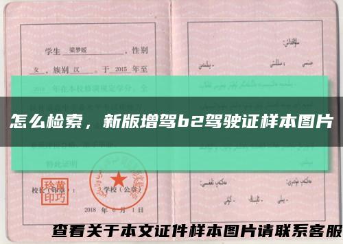 怎么检索，新版增驾b2驾驶证样本图片缩略图