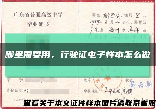 哪里需要用，行驶证电子样本怎么做缩略图