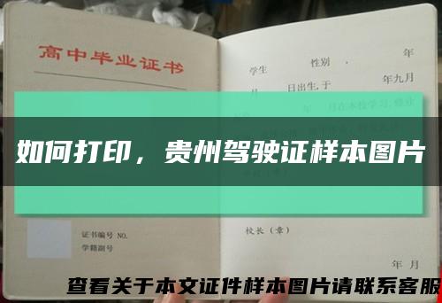 如何打印，贵州驾驶证样本图片缩略图