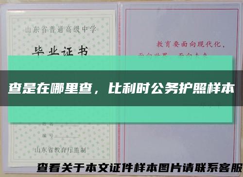 查是在哪里查，比利时公务护照样本缩略图