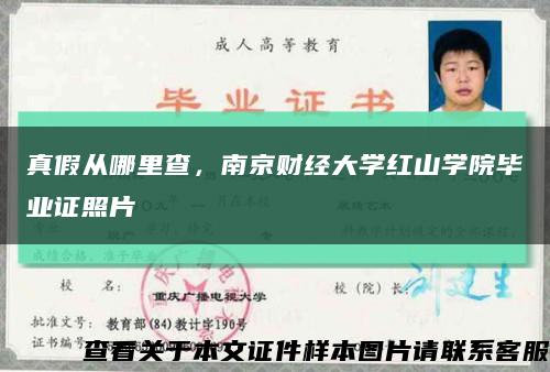 真假从哪里查，南京财经大学红山学院毕业证照片缩略图