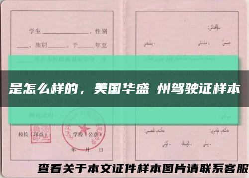 是怎么样的，美国华盛頓州驾驶证样本缩略图