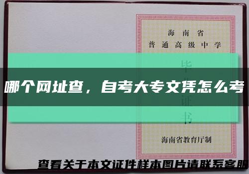 哪个网址查，自考大专文凭怎么考缩略图