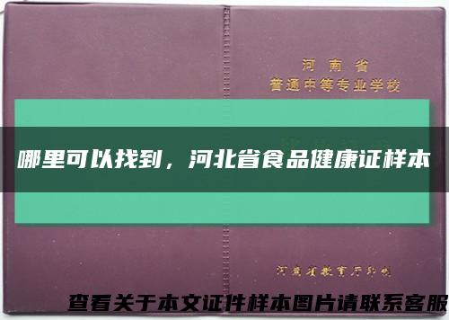 哪里可以找到，河北省食品健康证样本缩略图