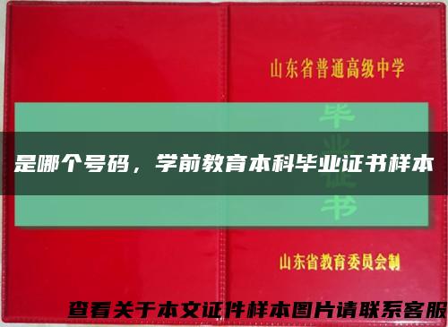 是哪个号码，学前教育本科毕业证书样本缩略图