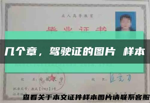 几个章，驾驶证的图片 样本缩略图