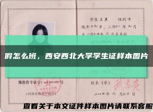 假怎么班，西安西北大学学生证样本图片缩略图