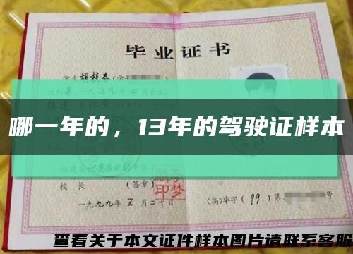 哪一年的，13年的驾驶证样本缩略图