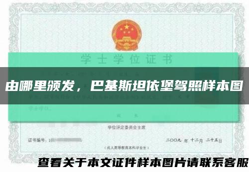 由哪里颁发，巴基斯坦依堡驾照样本图缩略图