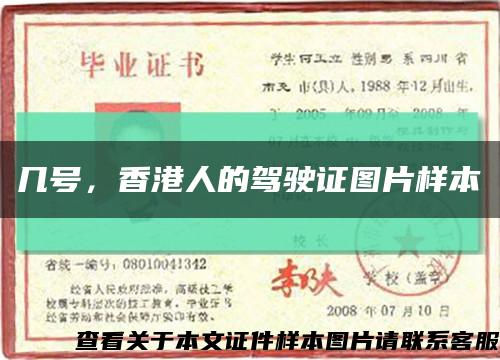几号，香港人的驾驶证图片样本缩略图