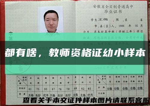 都有啥，教师资格证幼小样本缩略图