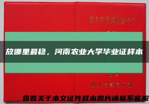 放哪里最稳，河南农业大学毕业证样本缩略图