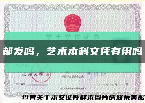 都发吗，艺术本科文凭有用吗缩略图