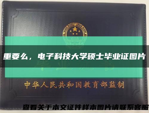 重要么，电子科技大学硕士毕业证图片缩略图