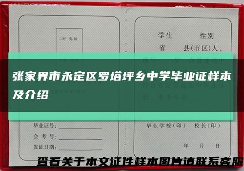 张家界市永定区罗塔坪乡中学毕业证样本及介绍缩略图