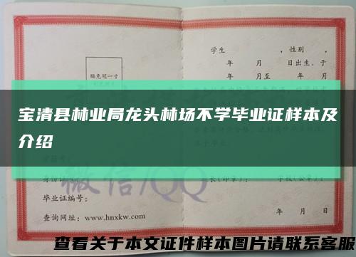 宝清县林业局龙头林场不学毕业证样本及介绍缩略图