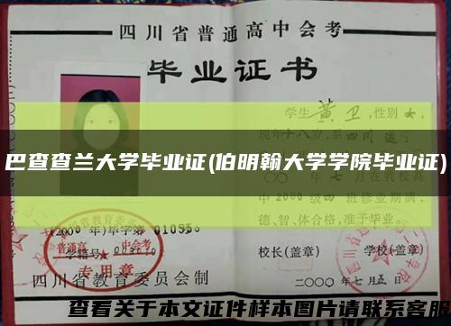 巴查查兰大学毕业证(伯明翰大学学院毕业证)缩略图