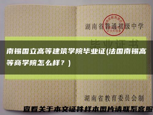 南锡国立高等建筑学院毕业证(法国南锡高等商学院怎么样？)缩略图