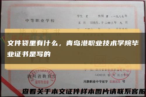 文件袋里有什么，青岛港职业技术学院毕业证书是写的缩略图