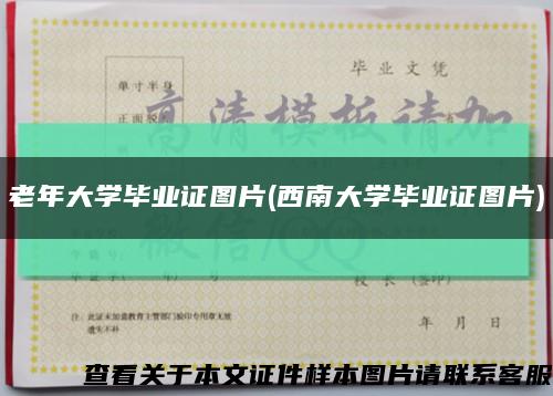 老年大学毕业证图片(西南大学毕业证图片)缩略图