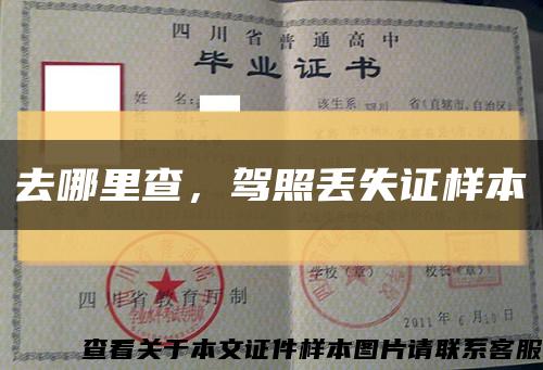 去哪里查，驾照丢失证样本缩略图