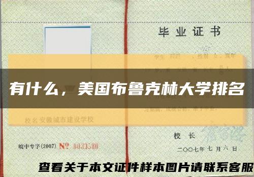 有什么，美国布鲁克林大学排名缩略图