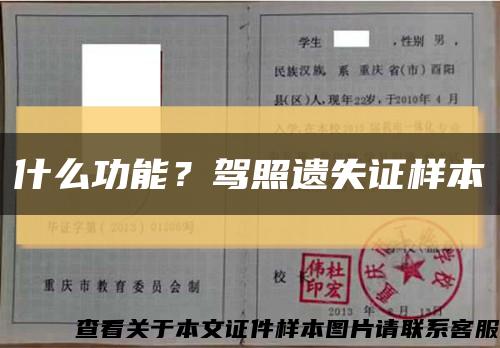 什么功能？驾照遗失证样本缩略图