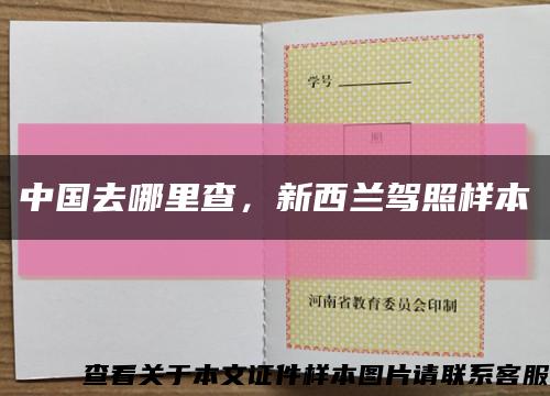 中国去哪里查，新西兰驾照样本缩略图
