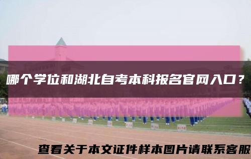 哪个学位和湖北自考本科报名官网入口？缩略图