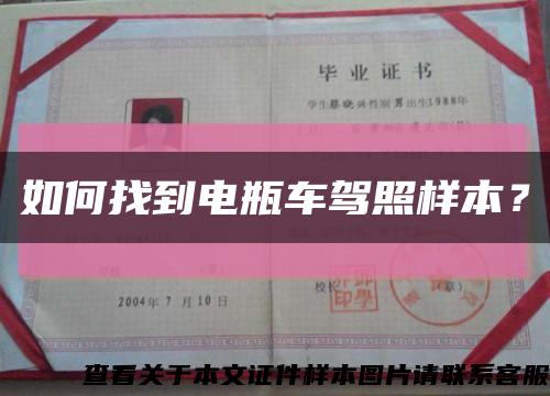 如何找到电瓶车驾照样本？缩略图
