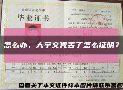 怎么办，大学文凭丢了怎么证明？缩略图