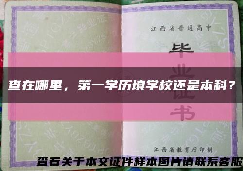 查在哪里，第一学历填学校还是本科？缩略图