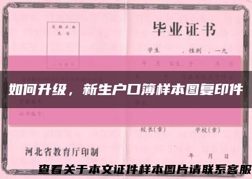 如何升级，新生户口簿样本图复印件缩略图