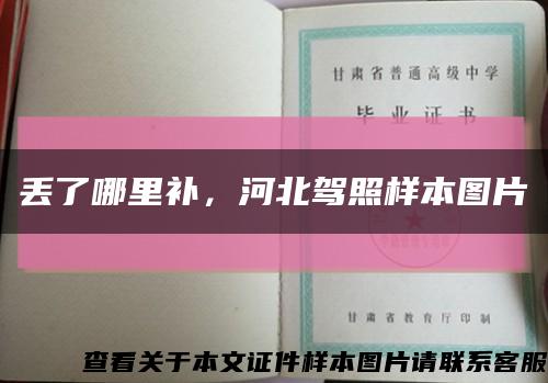 丢了哪里补，河北驾照样本图片缩略图