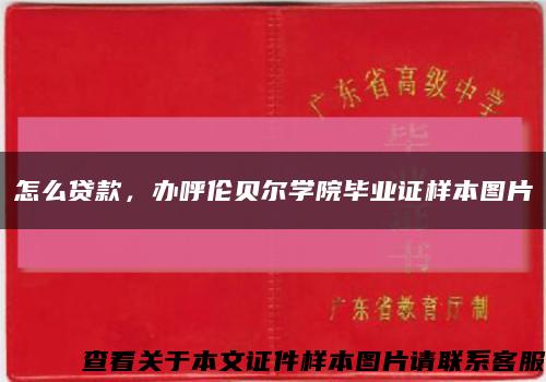怎么贷款，办呼伦贝尔学院毕业证样本图片缩略图