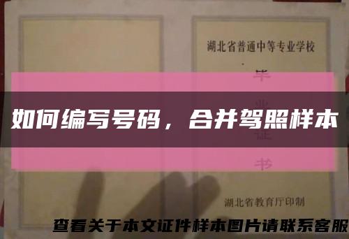 如何编写号码，合并驾照样本缩略图