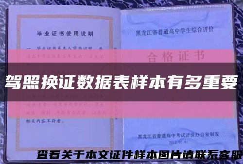 驾照换证数据表样本有多重要缩略图