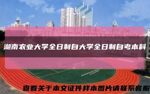 湖南农业大学全日制自大学全日制自考本科缩略图
