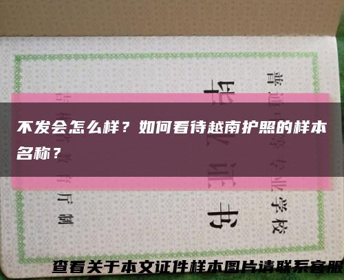 不发会怎么样？如何看待越南护照的样本名称？缩略图