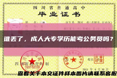 谁丢了，成人大专学历能考公务员吗？缩略图