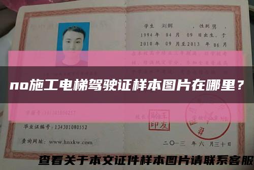 no施工电梯驾驶证样本图片在哪里？缩略图