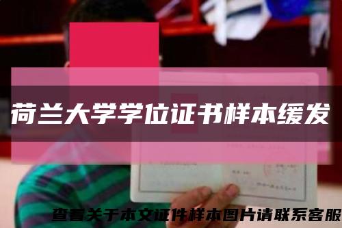 荷兰大学学位证书样本缓发缩略图
