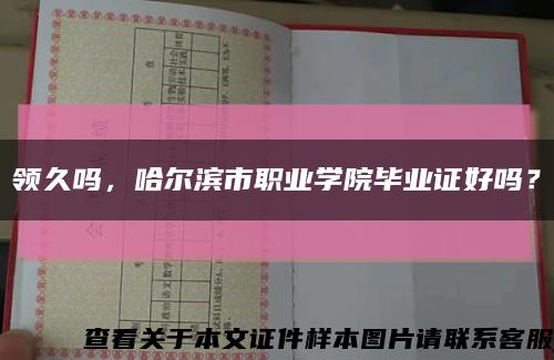 领久吗，哈尔滨市职业学院毕业证好吗？缩略图