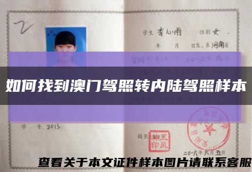 如何找到澳门驾照转内陆驾照样本缩略图