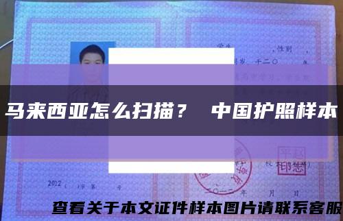 马来西亚怎么扫描？ 中国护照样本缩略图