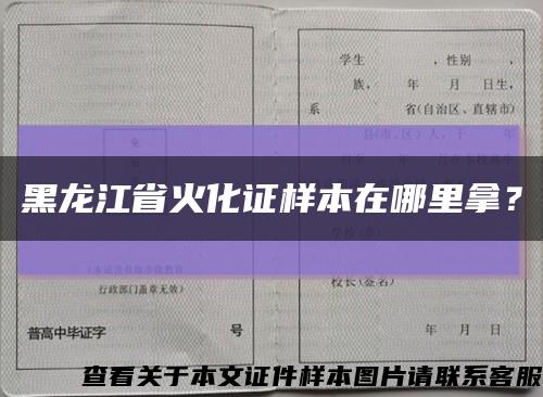 黑龙江省火化证样本在哪里拿？缩略图