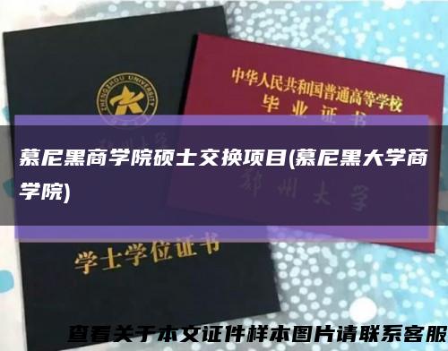 慕尼黑商学院硕士交换项目(慕尼黑大学商学院)缩略图