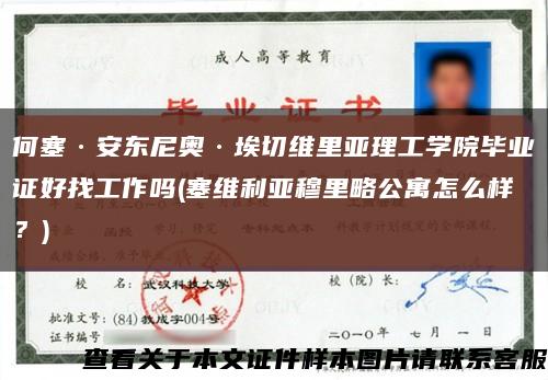 何塞·安东尼奥·埃切维里亚理工学院毕业证好找工作吗(塞维利亚穆里略公寓怎么样？)缩略图