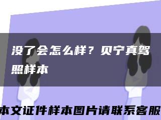 没了会怎么样？贝宁真驾照样本缩略图
