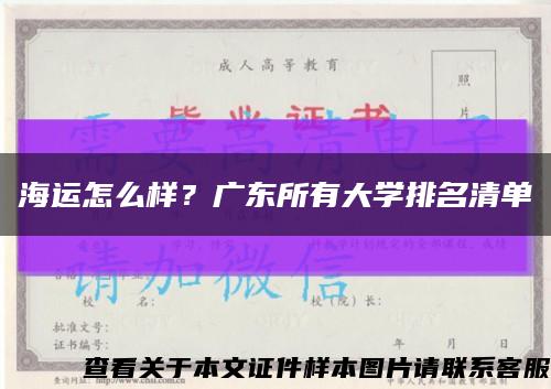 海运怎么样？广东所有大学排名清单缩略图